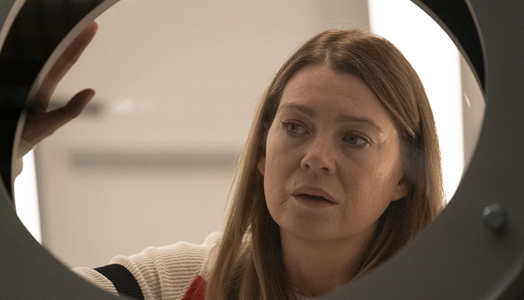 Ellen Pompeo, Grey's Anatomy, "Jump into the Fog"